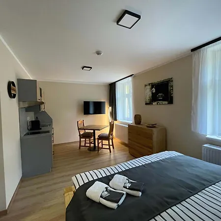 بيت ضيافة U Bernharda 3*
